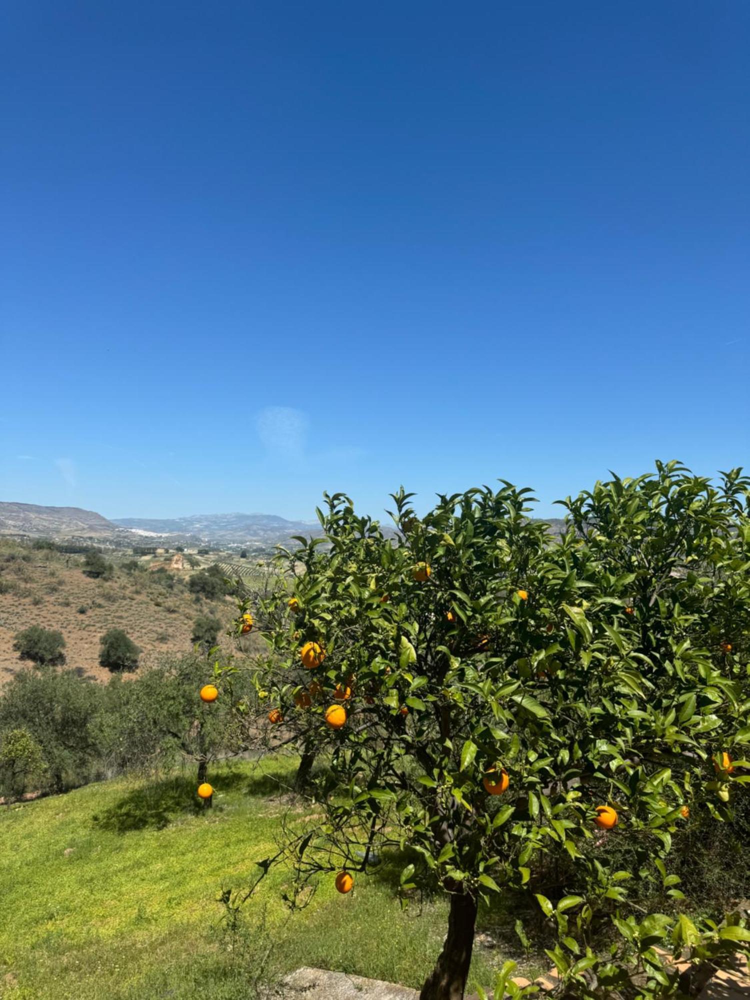 Santa Teresa Bed & Breakfast Andalusien Pizarra Exterior photo